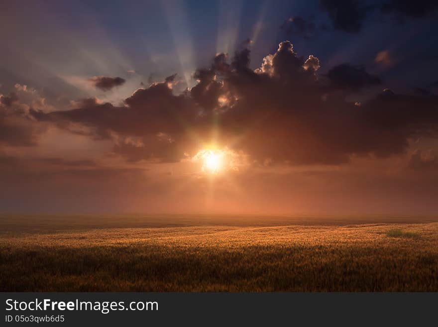 Rising sun above the wheat fields