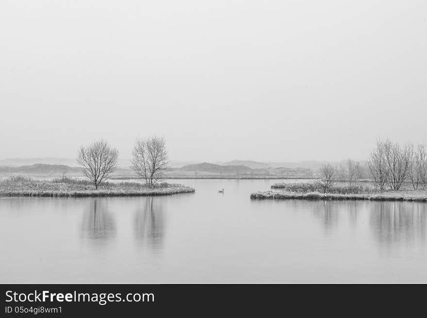 Lake at Thingvellir area in Iceland