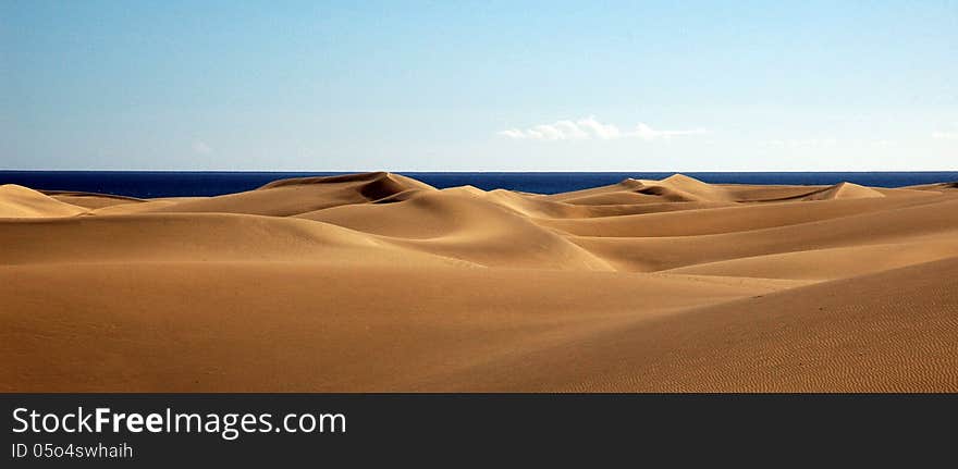 Deserted beach with cloudless sky