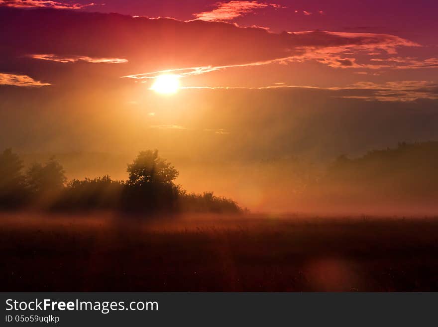 Pink sunset