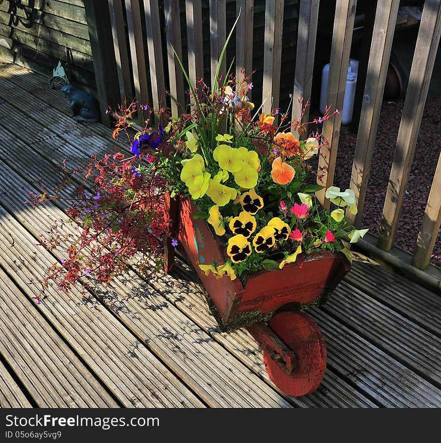 Barrow full of flowers.