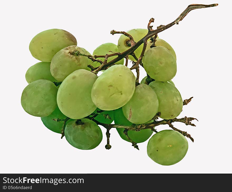 Old Grapes