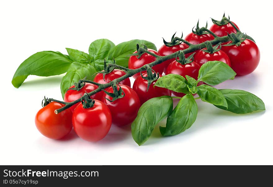 Leaves of basil and tomatoes