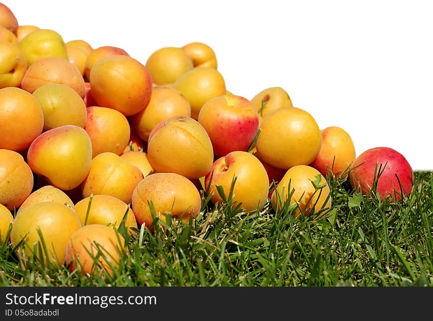 Juicy, ripe, yellow-red apricots scattered on the green grass