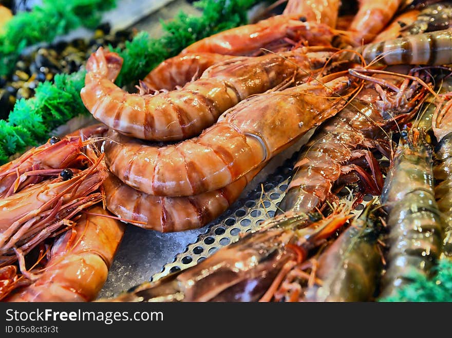 Seafood in the sea market