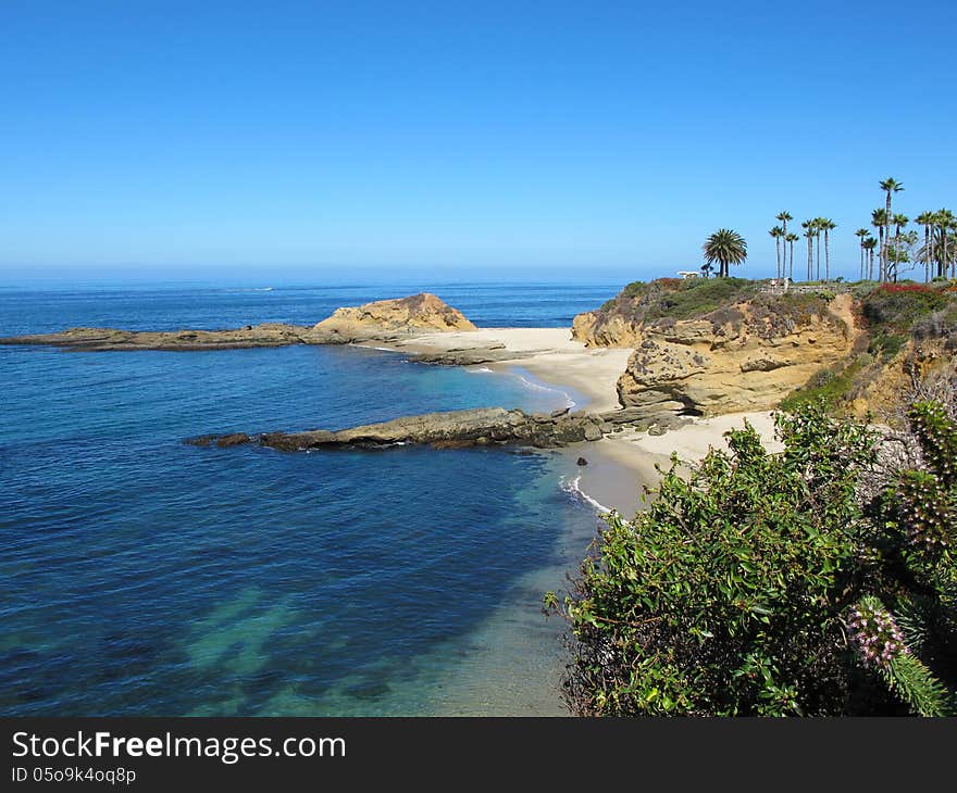 Gorgeous landscape featuring ocean view with succulents and palm trees by the beach.