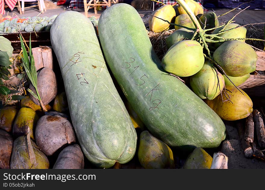 Giant Long Cucumber and Coconuts