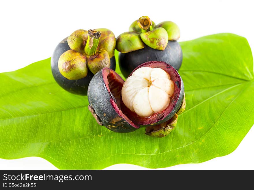 Mangosteen fruit on green leaf isolated and white background.