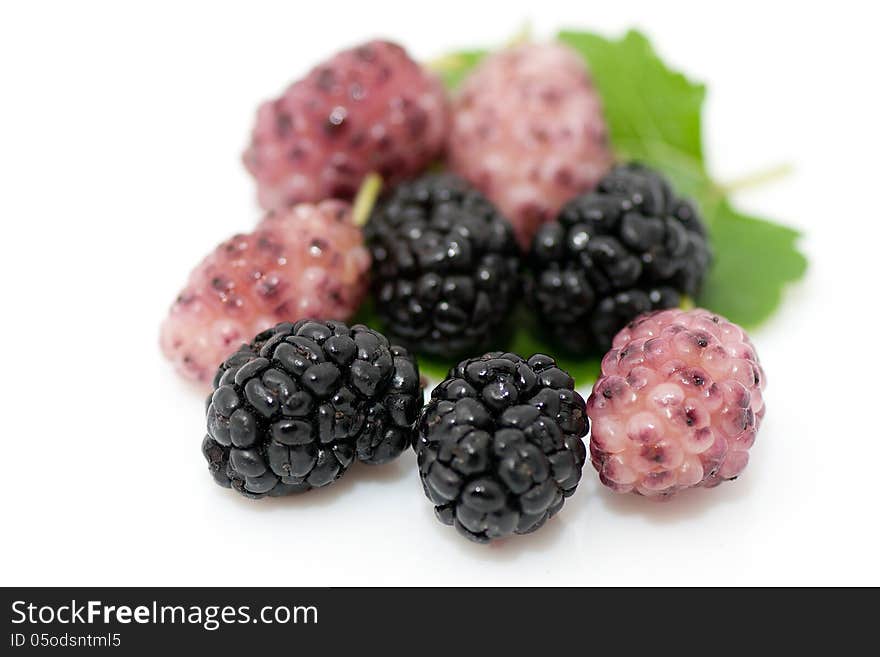 Fresh ripe organic mulberries on white background