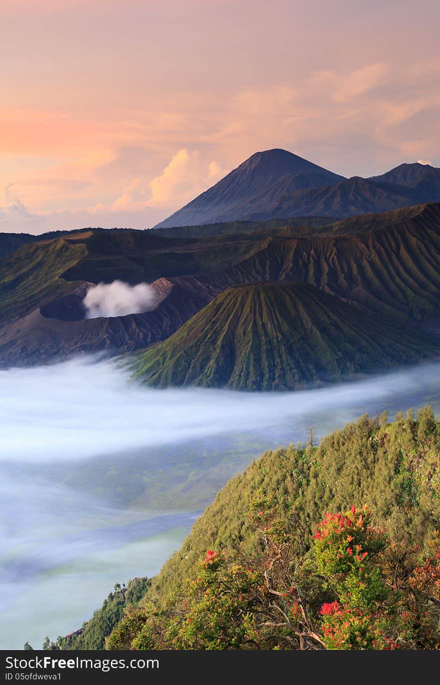 Bromo Vocano Mountain in Tengger Semeru National Park