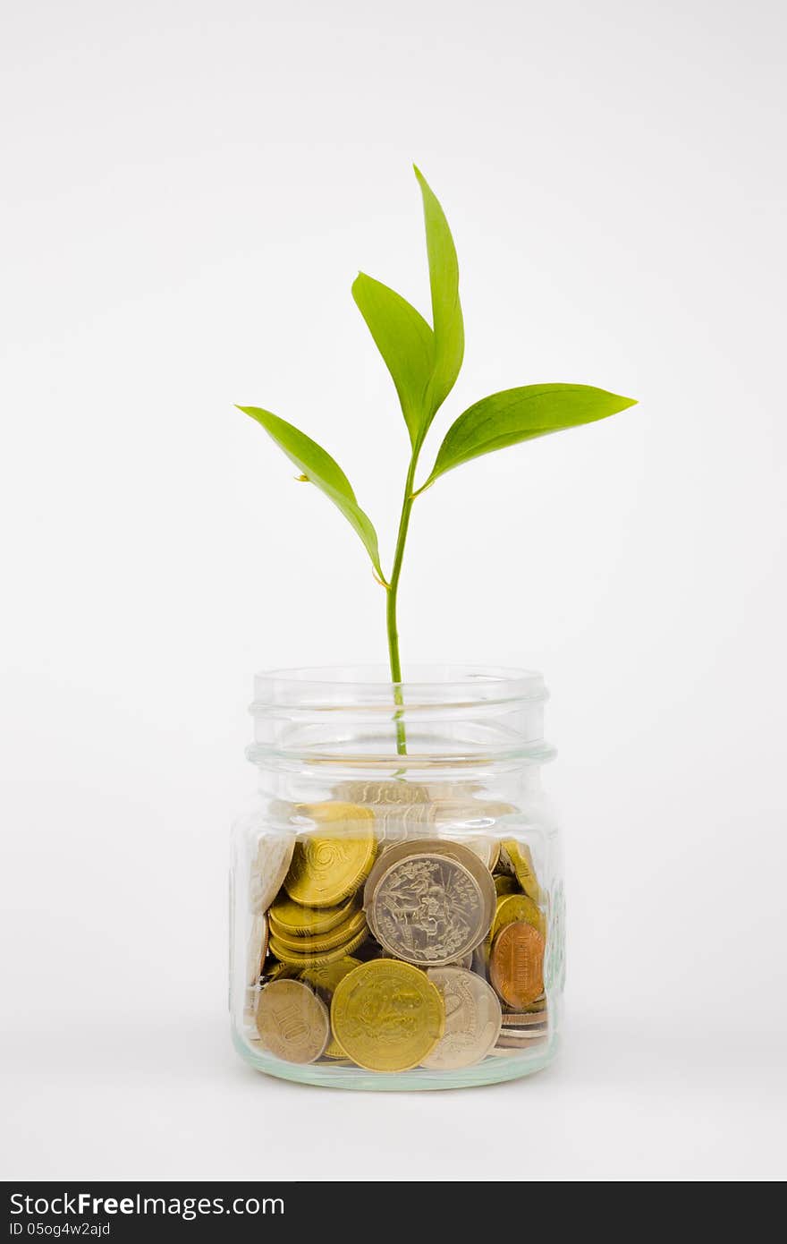 Plant and coins in glass jar, currency, investment and business concepts