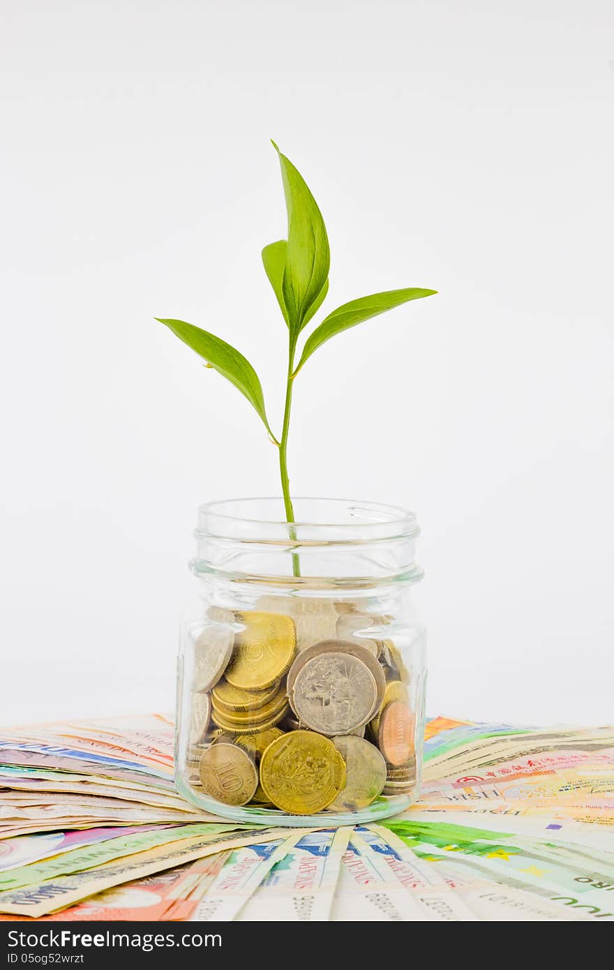 Plant and coins in glass jar, currency, investment and business concepts