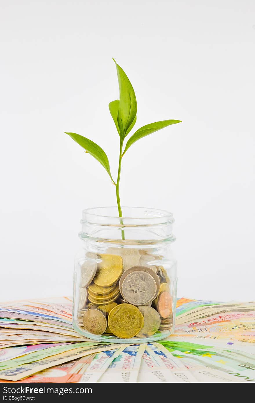 Plant and coins in glass jar