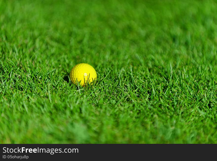 Golf ball on green grass