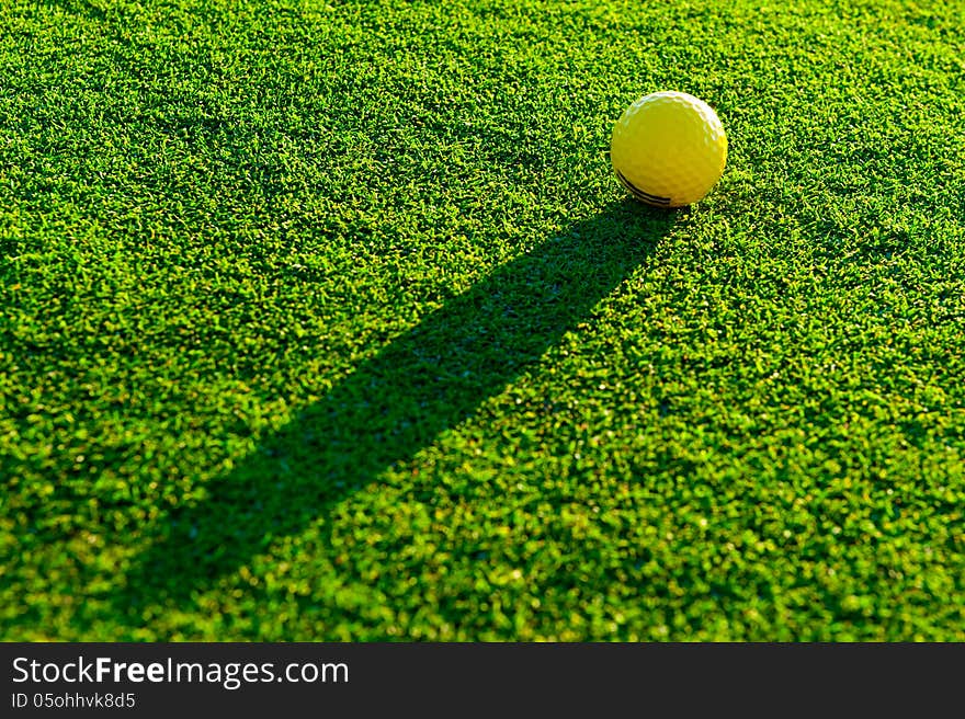 Golf Ball On Green Grass