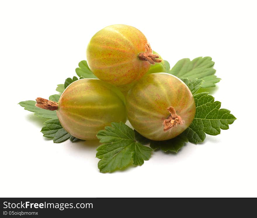 Green gooseberries