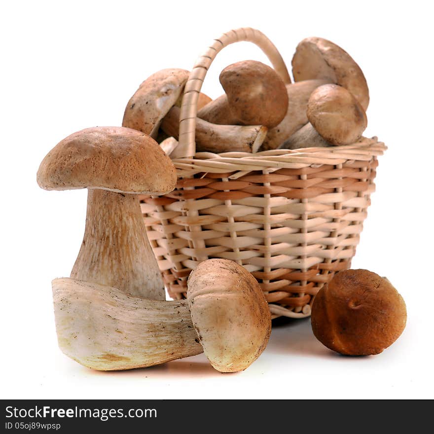 Mushrooms In A Basket