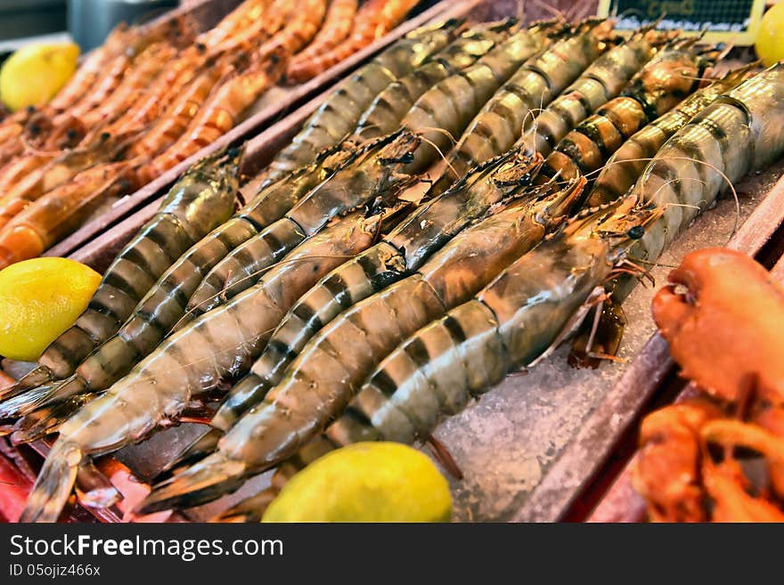 Show-window of seafood