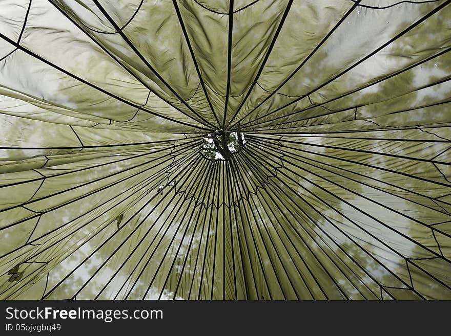 Abstract picture of the top of a tee-pee with the trees shining through