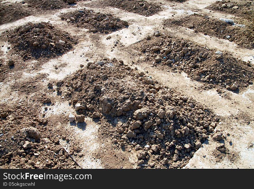 Fresh graves in a cemetery