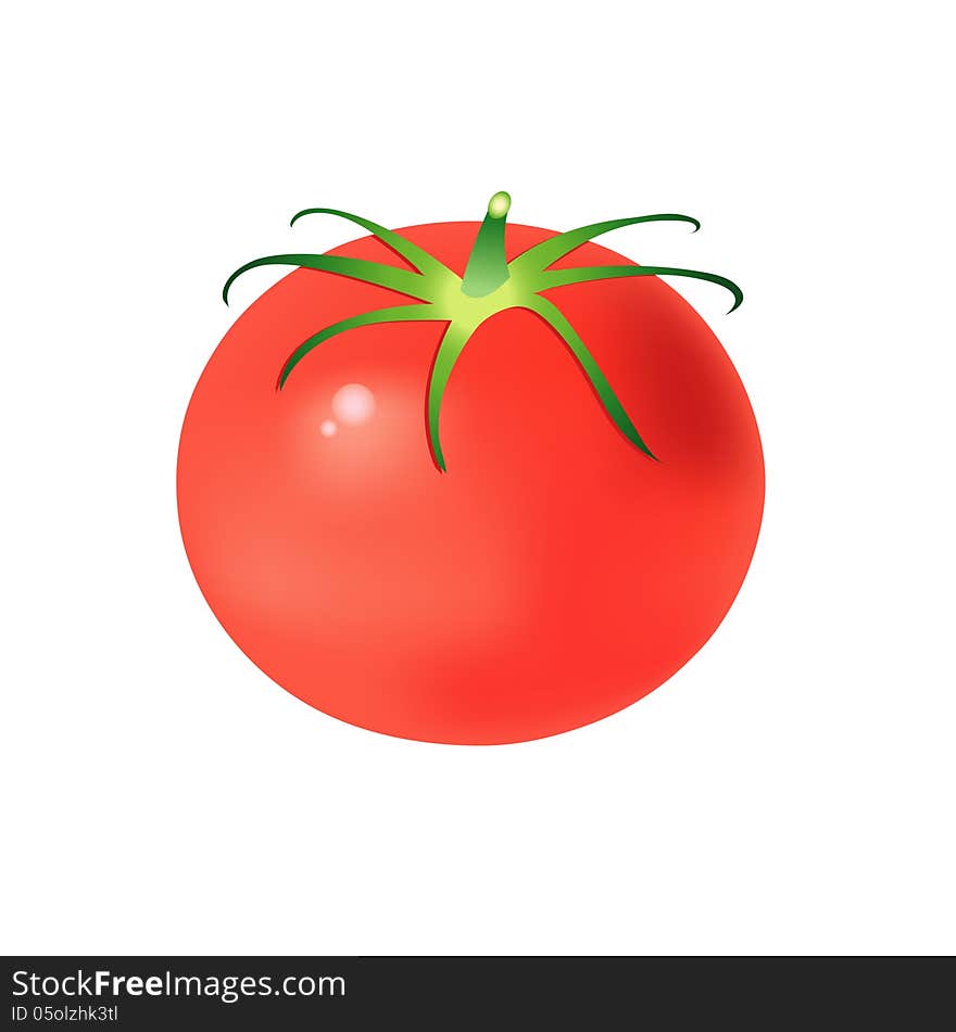 Tasty Tomato