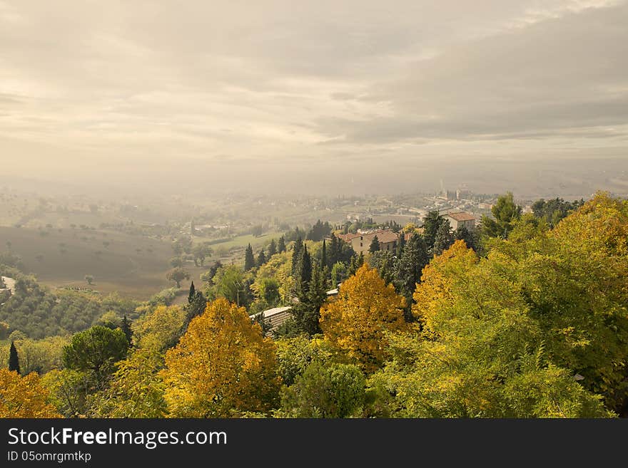 Tuscan olive trees hills and typical countryside houses in Tuscany. Tuscan olive trees hills and typical countryside houses in Tuscany