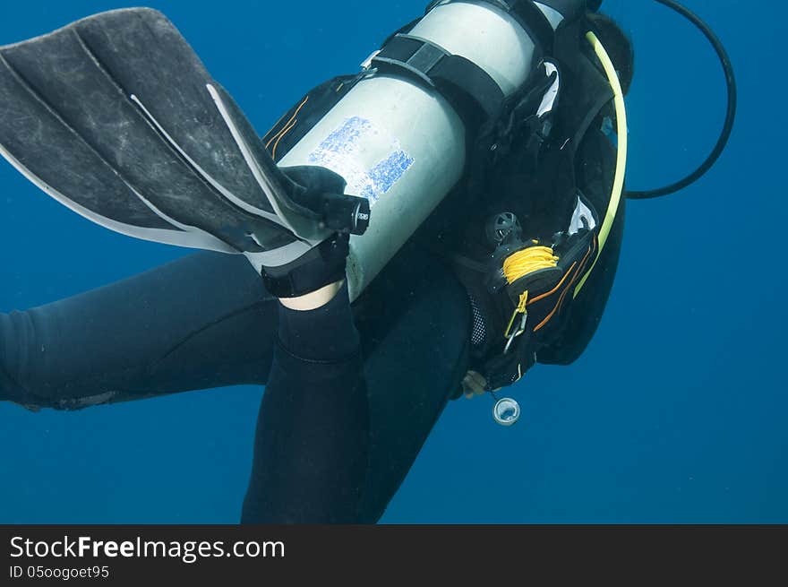 Diver swims in the Red sea with reel equipment. Diver swims in the Red sea with reel equipment