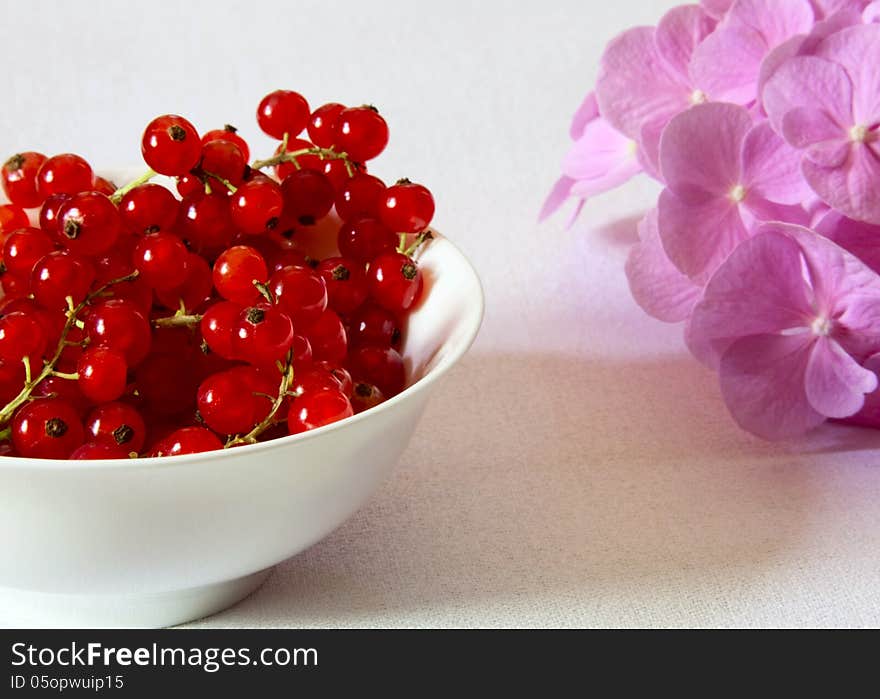 Red currants in a white ceramic bowl and pink flowers on a light background. Red currants in a white ceramic bowl and pink flowers on a light background