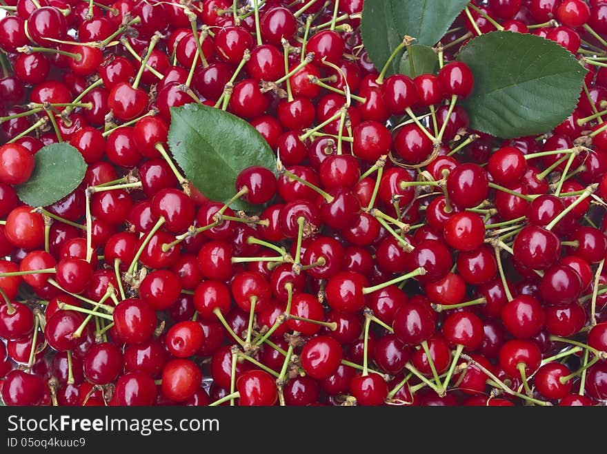 Sweet red cherries, closeup view