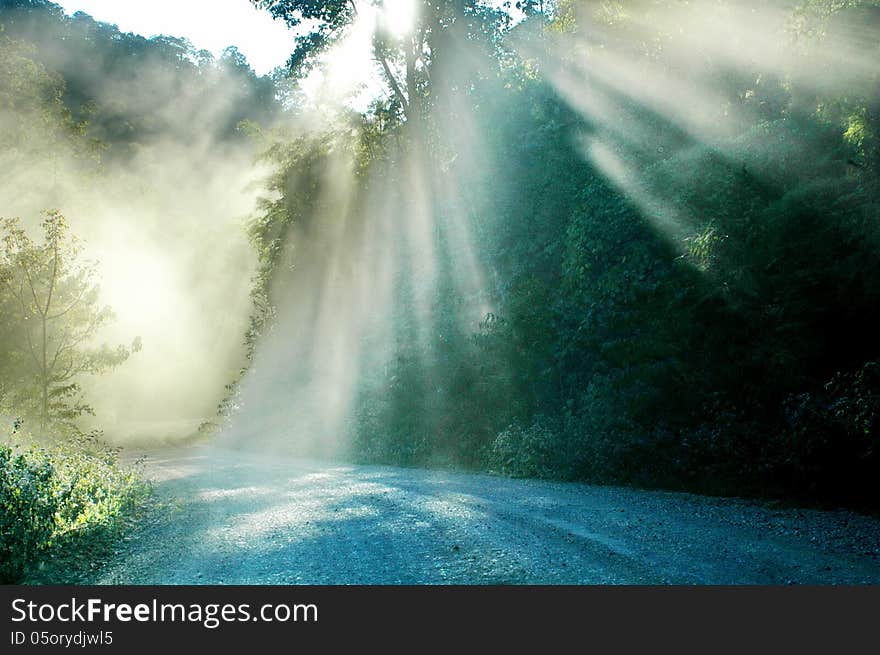 One afternoon. Driving dusty dirt road cars into the woods, but I have to see the car when brake light splashing down. One afternoon. Driving dusty dirt road cars into the woods, but I have to see the car when brake light splashing down.