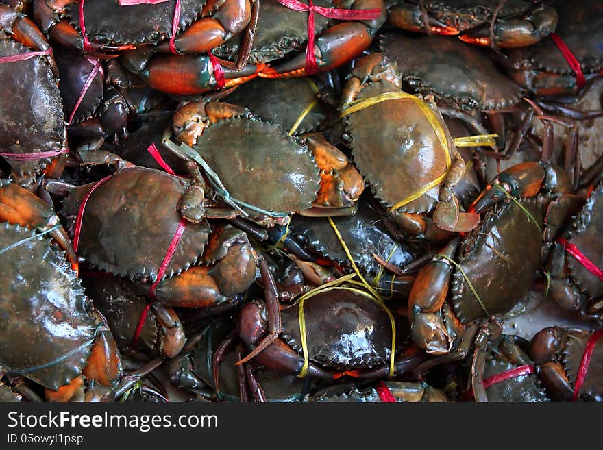 Fresh live crabs on the market in India, close-up