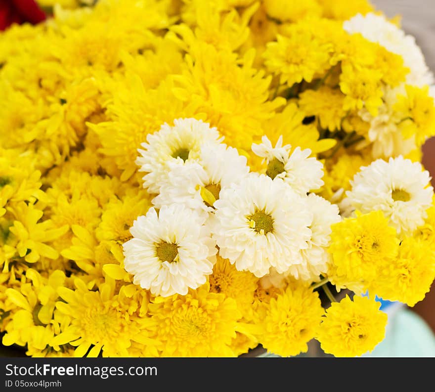 Yellow Fresh Flower on the table. Yellow Fresh Flower on the table