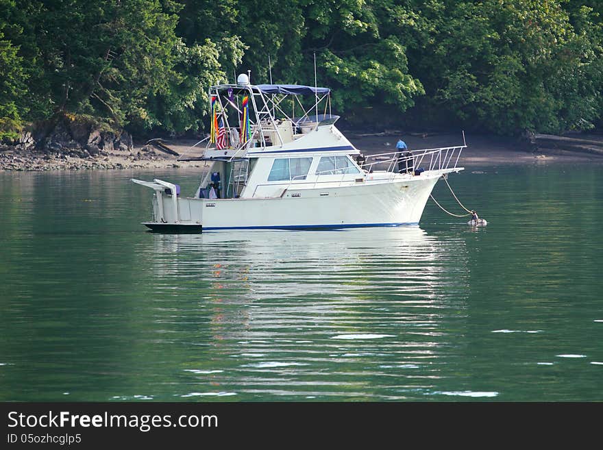 A cabin cruiser tied to a buoy just off shore at Hope Island State Park in Puget Sound Washington. A cabin cruiser tied to a buoy just off shore at Hope Island State Park in Puget Sound Washington.