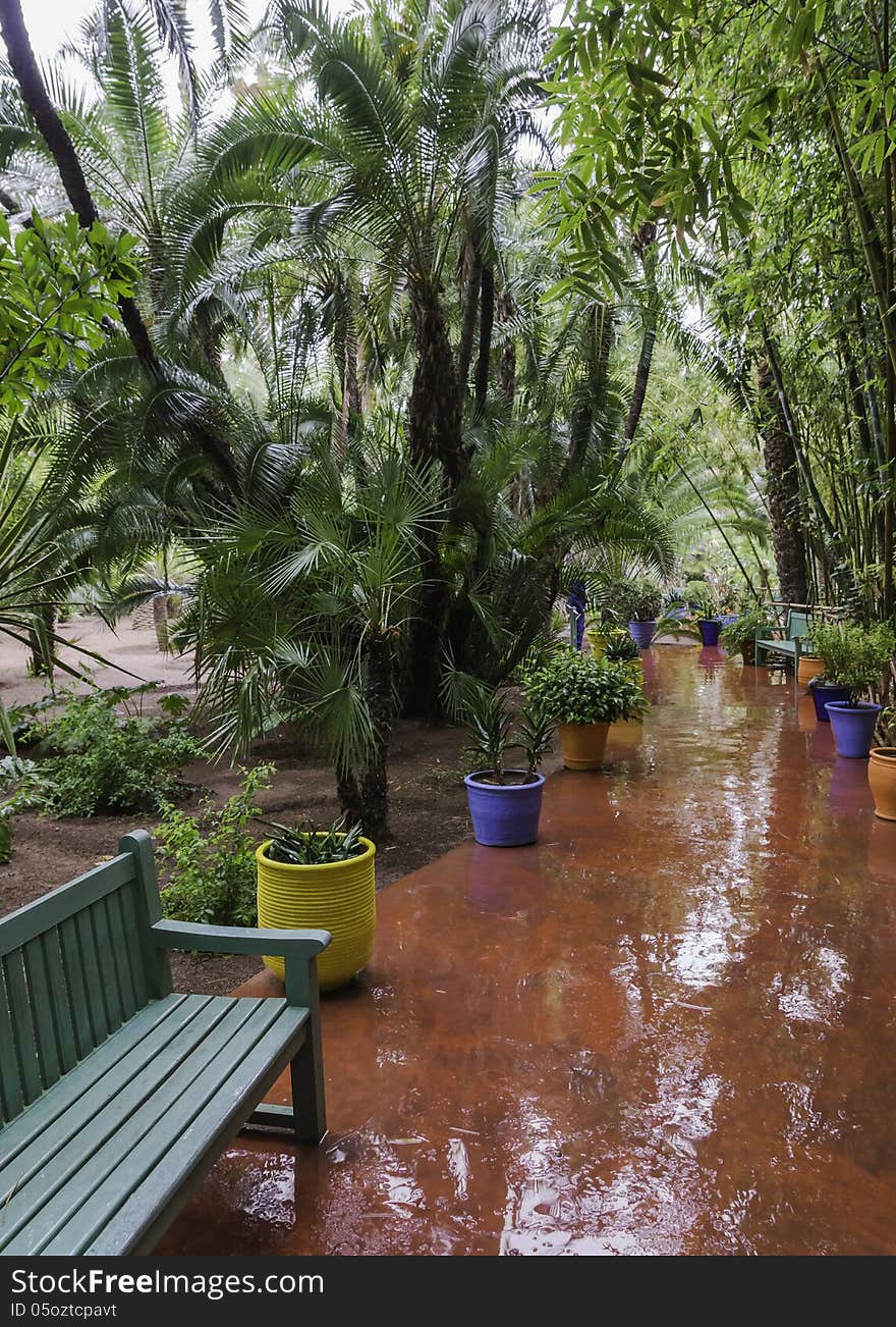 Jardine Majorelle on a rainy day. Jardine Majorelle on a rainy day