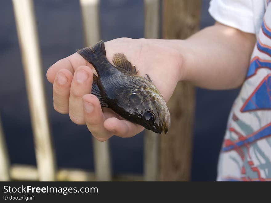 A young boy examines his first catch on his first fishing trip with his Grandfather