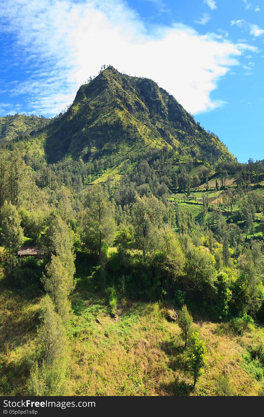 Summer landscape in high mountains and the blue sky