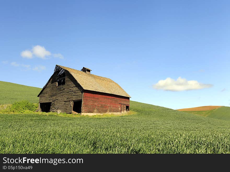 Old dilapidated red barn in middle of green field with white wispy clouds in blue morning sky in the springtime in the Palouse area of Washington State. Old dilapidated red barn in middle of green field with white wispy clouds in blue morning sky in the springtime in the Palouse area of Washington State.