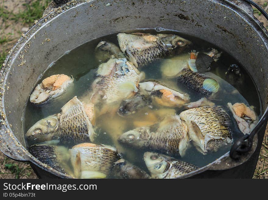 Fish soup cooked in nature. Fish soup cooked in nature