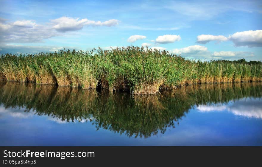 Landscape with blue sky, with clouds, with cane and water. Landscape with blue sky, with clouds, with cane and water