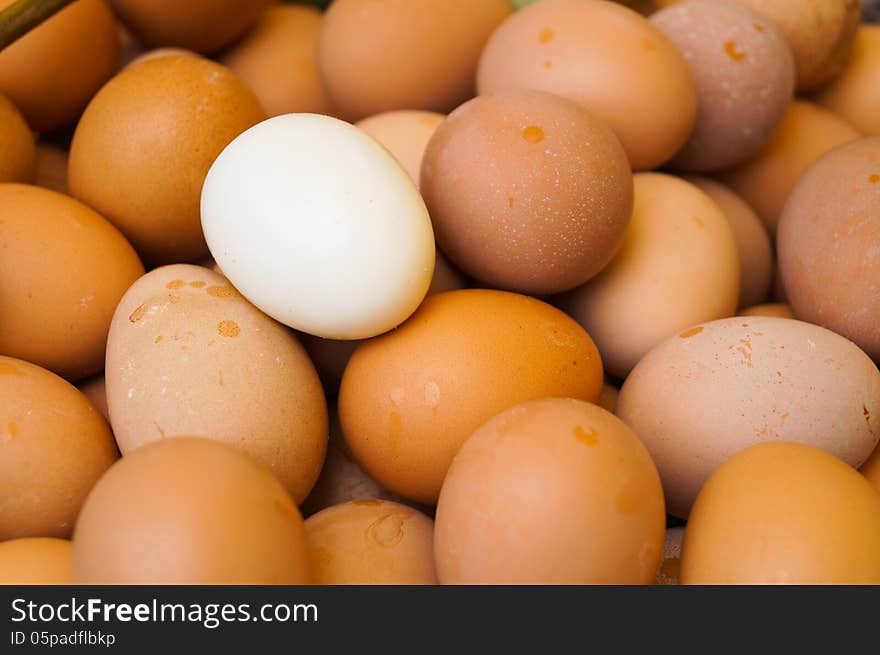 A lot of eggs in Buddhist holy day from making a votive offering