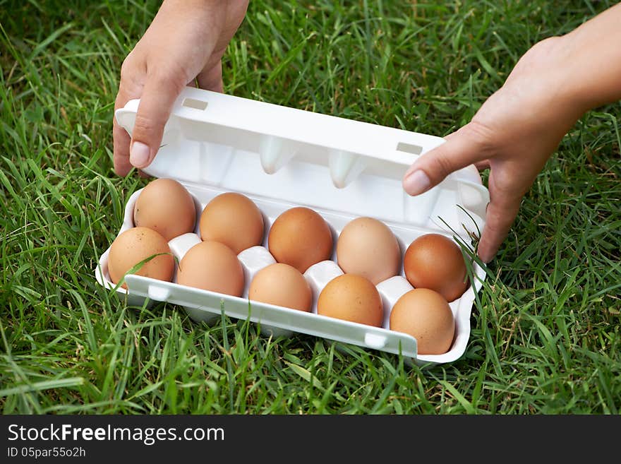 Pack of eggs on grass and woman hands