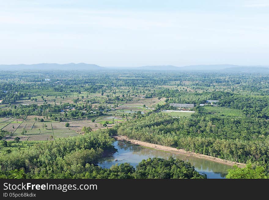 Small farm green field in bird eye view.