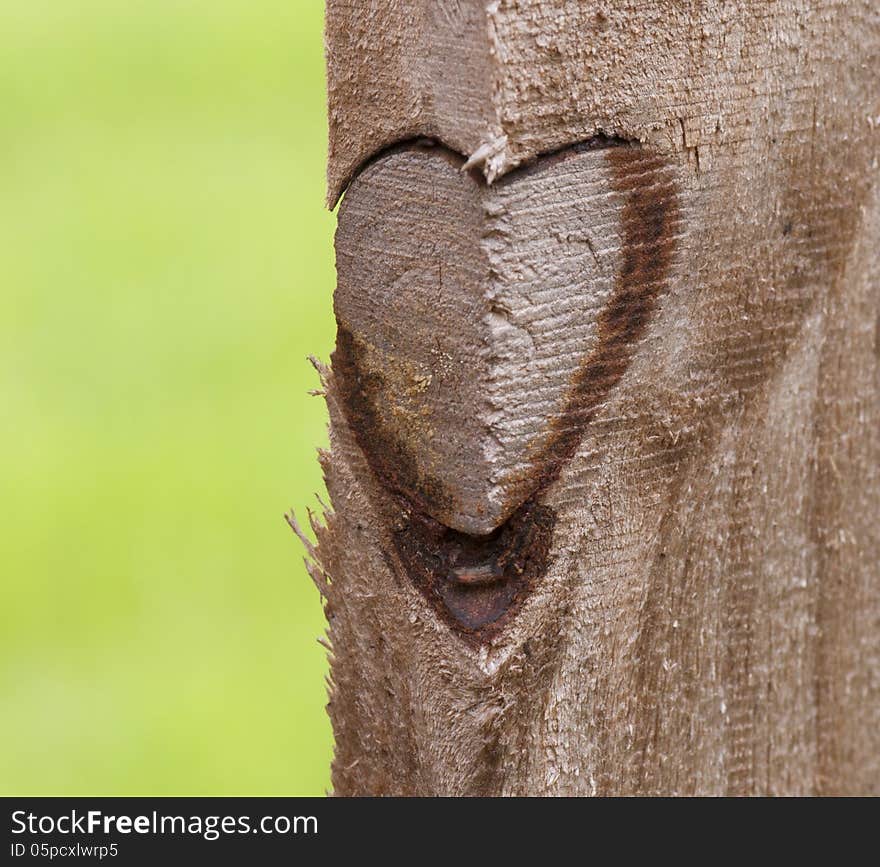 Natural heart shaped knot on textured pine wood fence against a light green background. Natural heart shaped knot on textured pine wood fence against a light green background