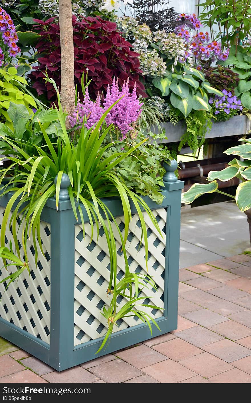 Patio with colorful tropical plants and flowers. Patio with colorful tropical plants and flowers