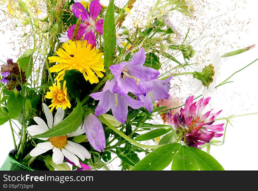 Bouquet of Wildflowers and Various Grasses closeup on white background. Bouquet of Wildflowers and Various Grasses closeup on white background