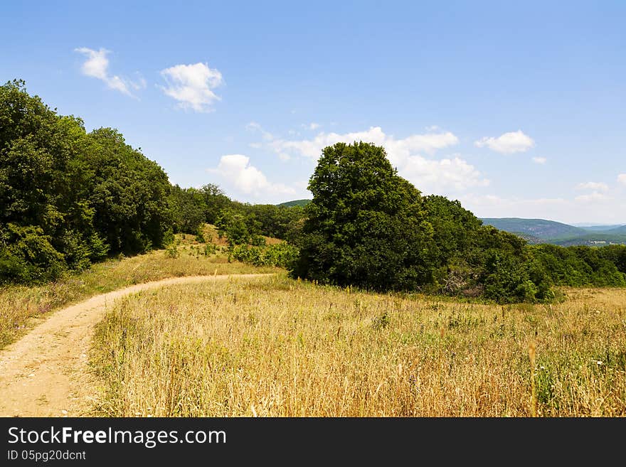 Unpaved Road In A Field