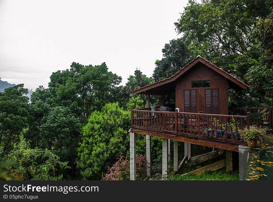 Wooden Resort In Jungle