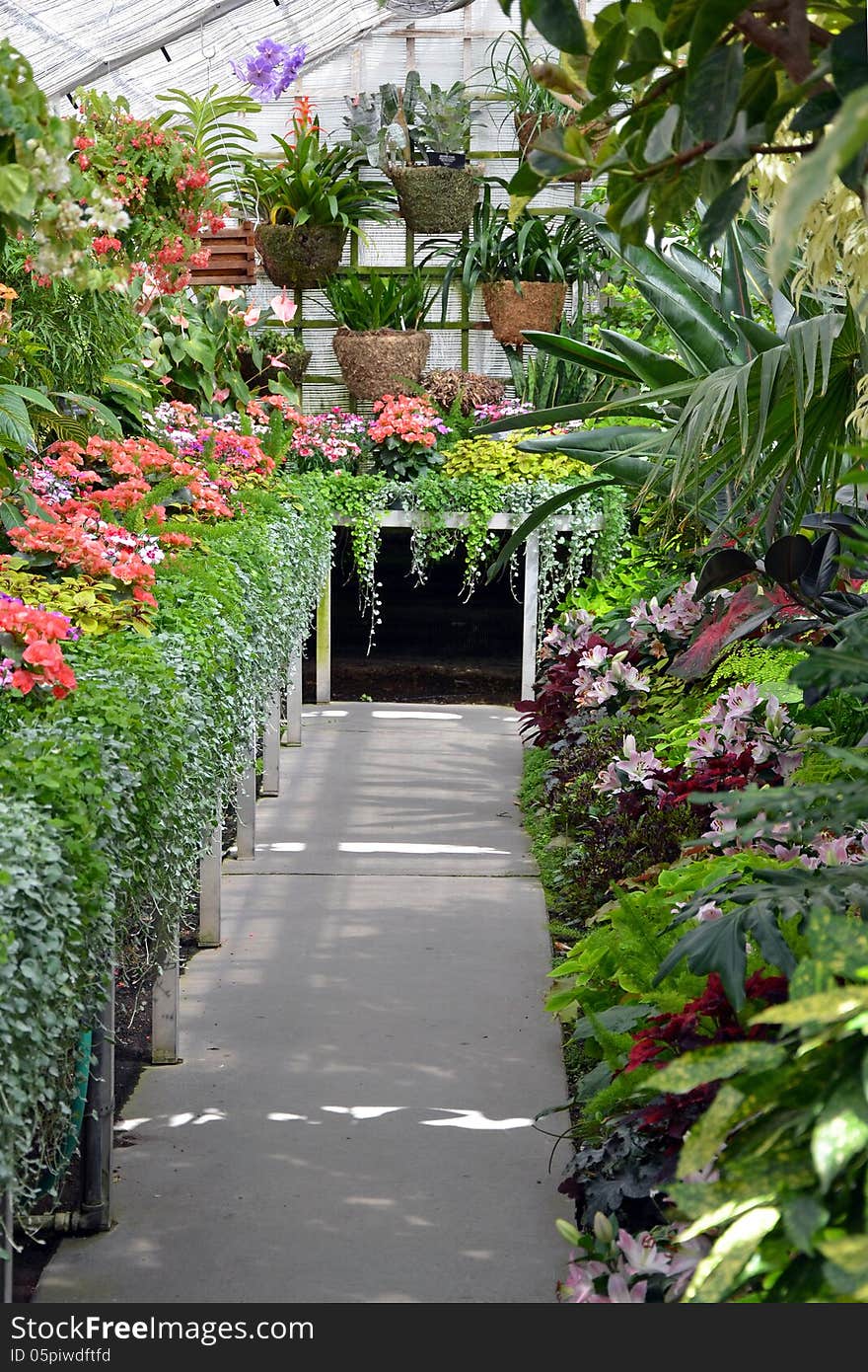 Colorful greenhouse garden