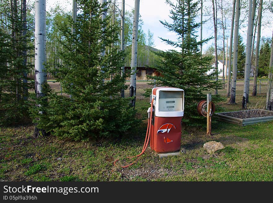 Red and white Vintage Gas Pump setting in evergreen trees.