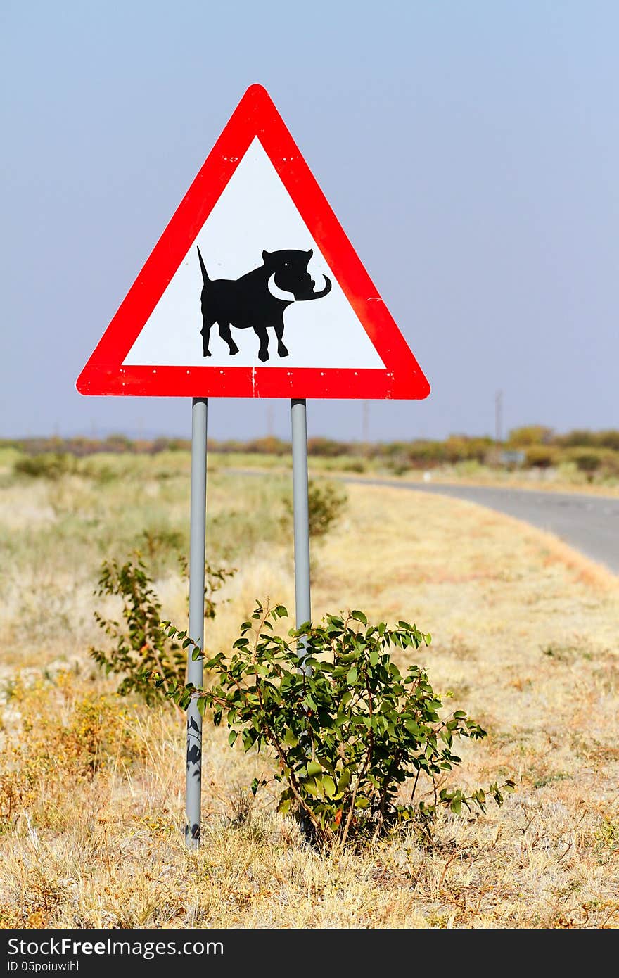 Road sign warning of warthogs in namibia